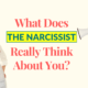 What Does The Narcissist Really Think About You?